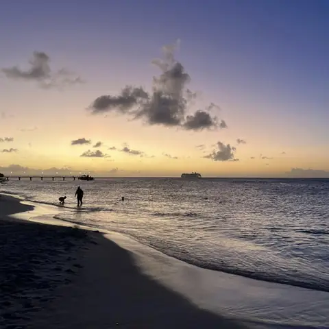 Frank Ocean Là Ai? Hành Trình Âm Nhạc Và Cuộc Đời Của Một Biểu Tượng