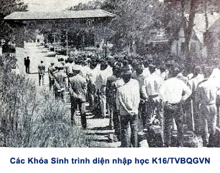 Hải Bi Đà Lạt Là Ai