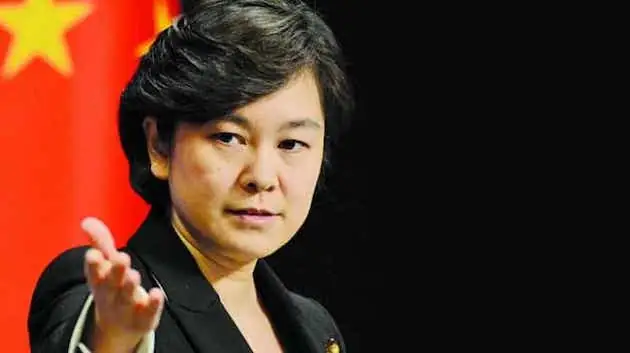 Hoa Xuân Oánh Là Ai