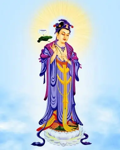 Có Bao Nhiêu Vị Phật, Bồ Tát?