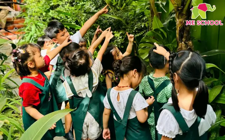 Ưu Điểm Thuyết Đa Trí Thông Minh Của Howard Gardner Ưu Điểm Thuyết Đa Trí Thông Minh Của Howard Gardner