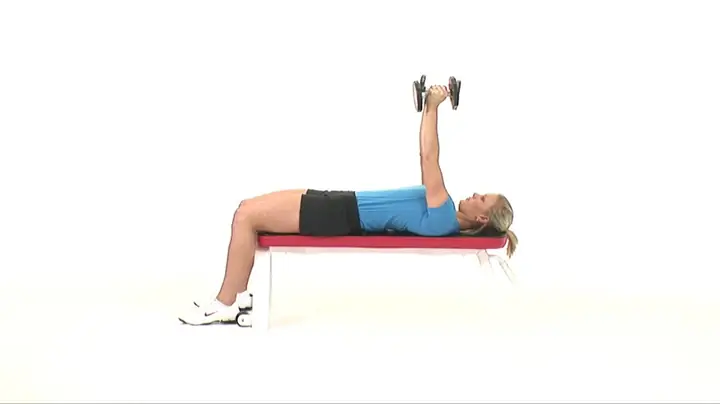 Jeff Seid Là Ai Mà Đại Đa Số Gymer Đều Noi Theo ?