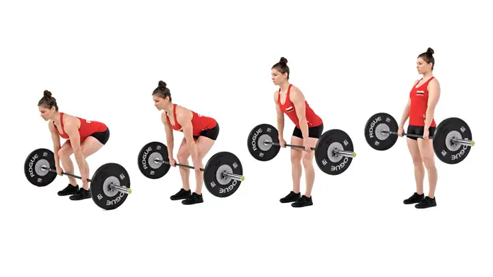 Jeff Seid Là Ai Mà Đại Đa Số Gymer Đều Noi Theo ?