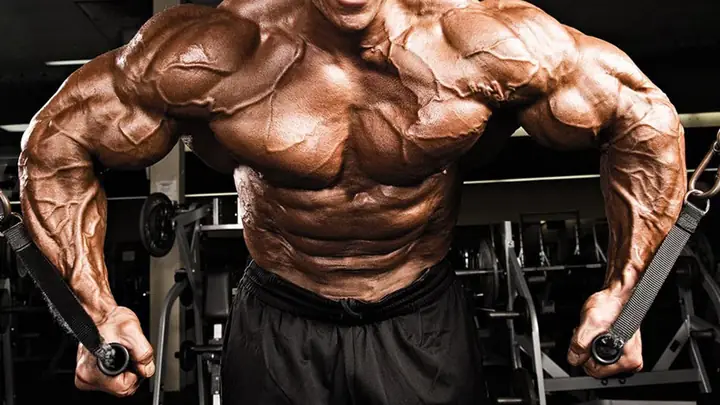 Jeff Seid Là Ai Mà Đại Đa Số Gymer Đều Noi Theo ?