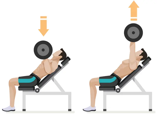 Jeff Seid Là Ai Mà Đại Đa Số Gymer Đều Noi Theo ?