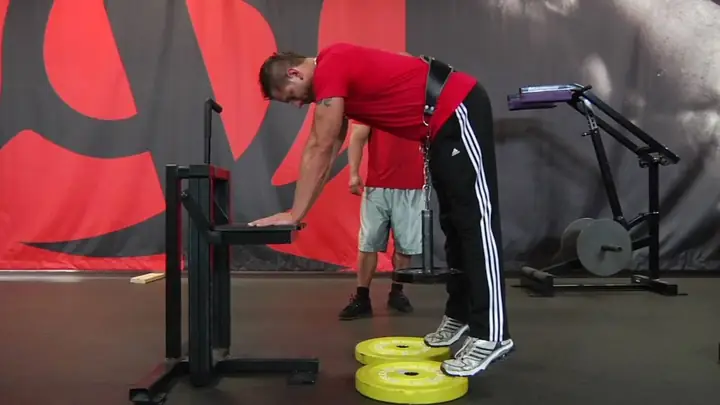 Jeff Seid Là Ai Mà Đại Đa Số Gymer Đều Noi Theo ?