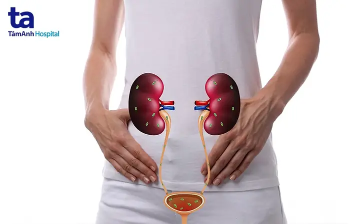 Đái Ra Máu Là Bệnh Gì?