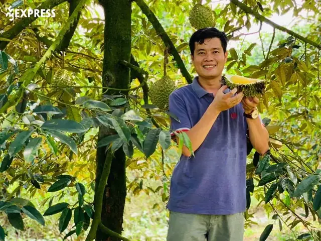 Xem Thêm Một Số Hình Ảnh Về Khương Dừa