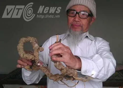 Dược Sĩ Đào Kim Long: Chân Dung Kim Đào Là Ai?