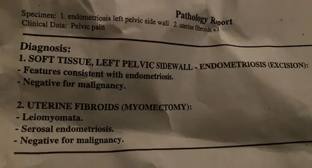 Lạc Lạc Là Ai? Khám Phá Bí Ẩn Đằng Sau Một Hiện Tượng Giải Trí