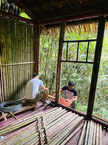 Lý Quốc Súng Là Ai