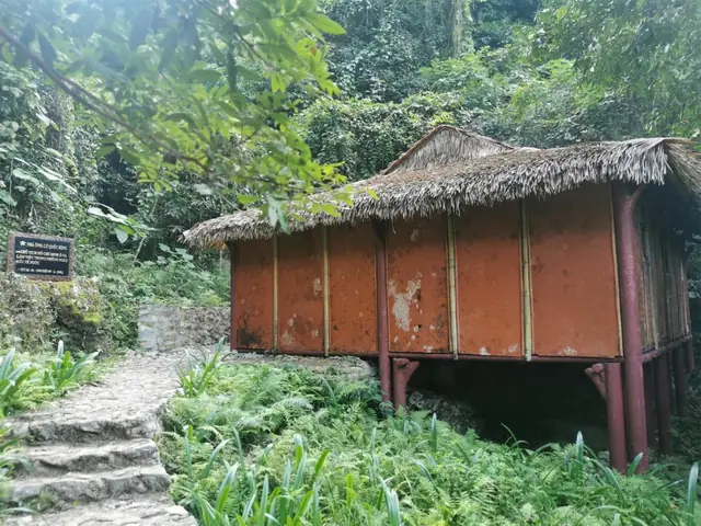 Lý Quốc Súng Là Ai