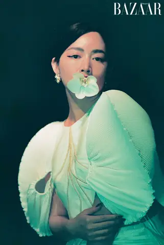 Mai Thanh Hà Là Ai