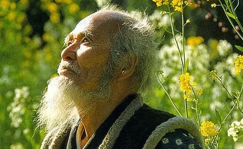 Masanobu Fukuoka Là Lão Nông Độc Đáo Người Nhật Bản