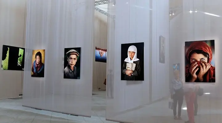 Formosa Là Ai? Giải Đáp Bí Ẩn Về Tên Gọi Gây Tò Mò