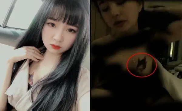 Những Scandal Gây Tranh Cãi Và Ảnh Hưởng Của Mèo 2k4