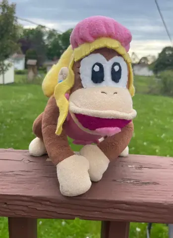 Monkey D. Kong Là Ai? Giải Mã Sự Thật Về Tên Gọi Này