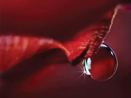 Ngát Pro Là Ai? Khám Phá Tiểu Sử Nữ Dj Nổi Tiếng Và Hành Trình Nghệ Thuật