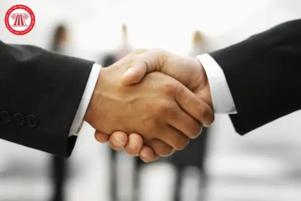 Người Đại Diện Theo Pháp Luật Là Ai?