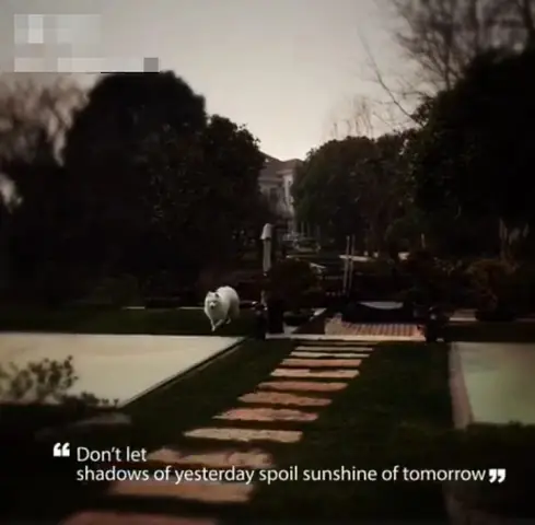 Kiều Hân - Người Yêu Tin Đồn Của Dương Dương: Là Vương Tư Thông Phiên Bản Nữ, Trở Thành Người Nổi Tiếng Chỉ Để Vui Ảnh 13