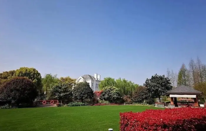 Kiều Hân - Người Yêu Tin Đồn Của Dương Dương: Là Vương Tư Thông Phiên Bản Nữ, Trở Thành Người Nổi Tiếng Chỉ Để Vui Ảnh 14