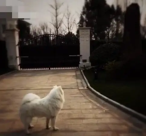 Kiều Hân - Người Yêu Tin Đồn Của Dương Dương: Là Vương Tư Thông Phiên Bản Nữ, Trở Thành Người Nổi Tiếng Chỉ Để Vui Ảnh 12