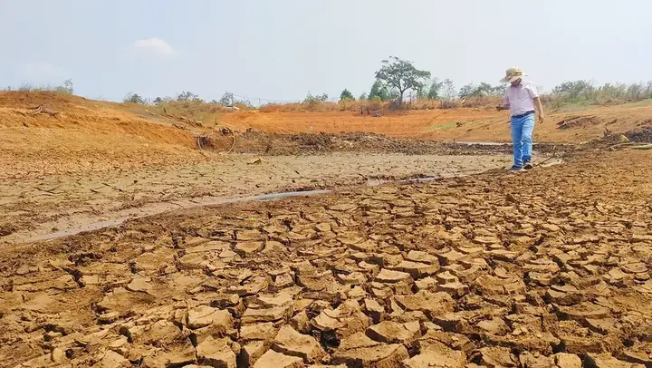 Sự Xuất Hiện Của Luật Hán Cửu Chương