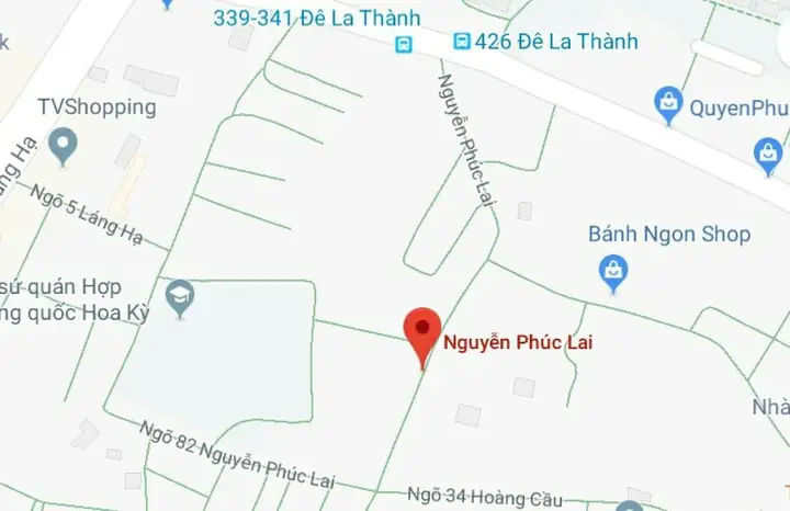 Phố Nguyễn Phúc Lai, Quận Đống Đa, Hà Nội