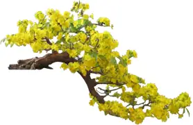 Nguyễn Xuân Nghĩa Là Ai