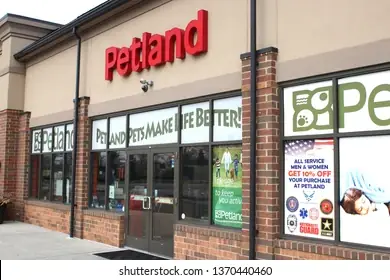 Petland Là Ai: Khám Phá Thương Hiệu Dành Cho Thú Cưng Toàn Cầu