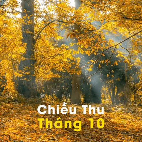 Những Stt Hay Về Tháng 10 Mang Năng Lượng Tích Cực