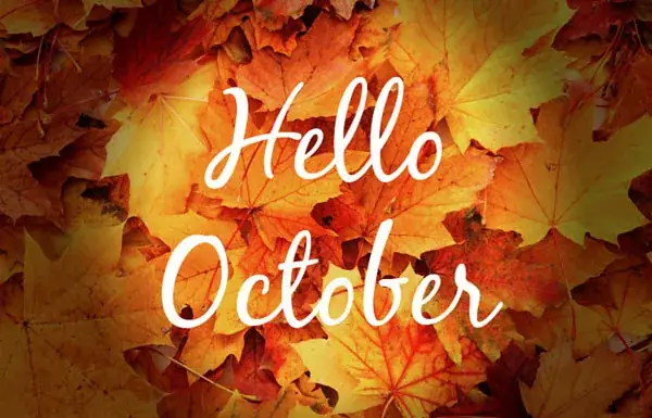 Stt Tháng 10 Về Sự Tĩnh Lặng Và Chiêm Nghiệm