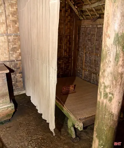 Thân Mẫu Của Bác Hồ Là Ai