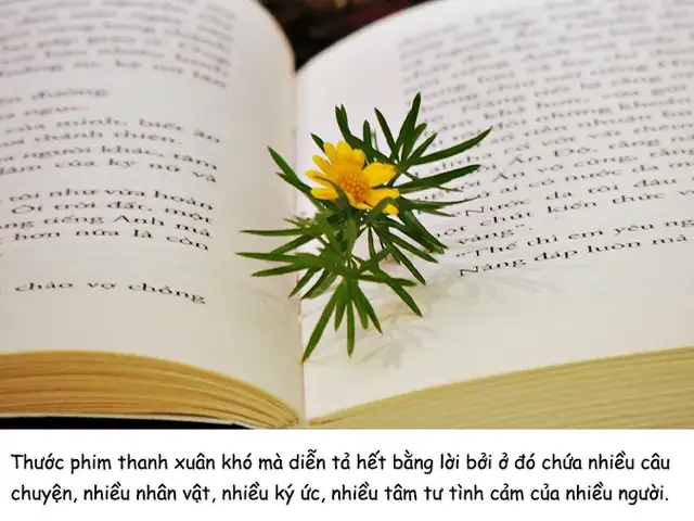 Những Thước Phim Đẹp Về Thanh Xuân