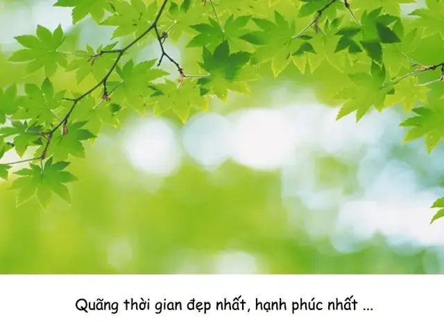 Thanh Xuân Là Gì?