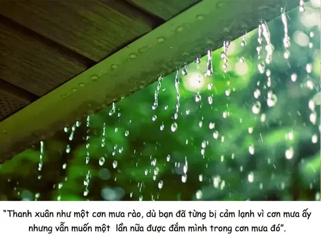 Ý Nghĩa Của Thanh Xuân Đối Với Đời Người