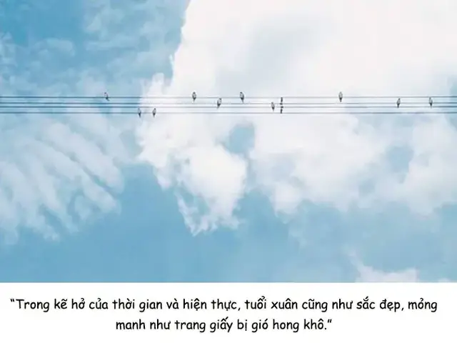 Những Câu Nói Hay Về Thanh Xuân