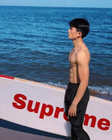 Các Hoạt Động Của Thế Thịnh (nếu Có)