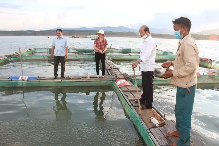 Thương Lái Là Gì?