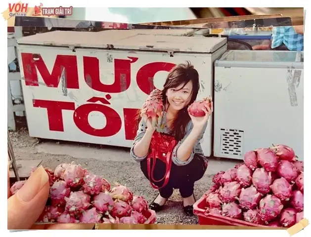 Sự Nghiệp Của Hari Won