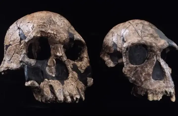 Tổ Xung Chi Là Ai? Khám Phá Cuộc Đời Và Di Sản Khoa Học