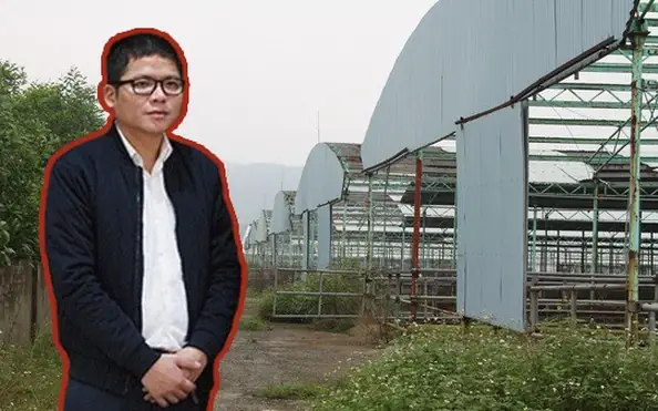 Trần Duy Tùng Là Ai? Tiểu Sử, Sự Nghiệp Và Đời Tư Chi Tiết