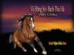 3/ Lời Bài Hát Võ Đông Sơ - Bạch Thu Hà, Dòng Sông Quê Em, Nữa Đời Hương Phấn (trích Đoạn), Tô Ánh Nguyệt (trích Đoạn), Tình Anh Bán Chiếu (trích Đoạn), Vụ Án Mã Ngưu (trích Đoạn).