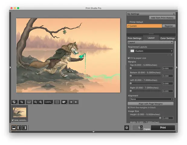 Pixma Pro-100s 5x7 Borderless Not Printing To Full... - Canon ...