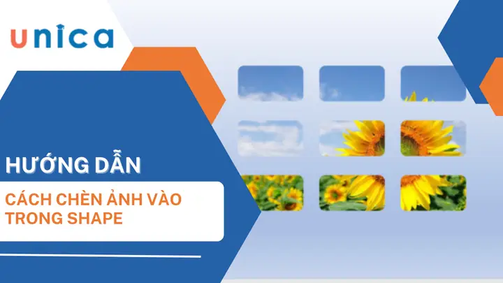 Hướng Dẫn Cách Chèn Ảnh Vào Shape Trong Powerpoint Cực Dễ