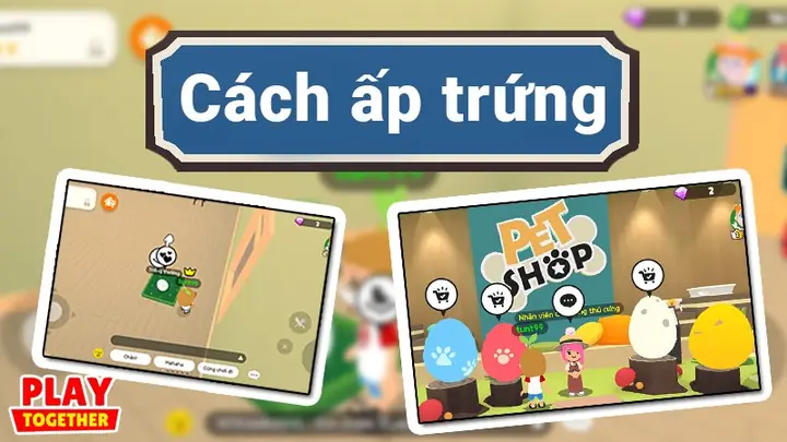 Ấp Trứng Là Một Trong Những Tính Năng Hấp Dẫn Trong Tựa Game Play Together, Trứng Sẽ Được Phân Cấp Từ Trứng Phổ Biến, Trứng Thường, Trứng Hiếm Và Cực Hiếm. Khi Trứng Nở Thì Sẽ Trở Thành Thú Cưng Và Đồng Hành Với Bạn Trong Các Cuộc Vui. Với Bài Viết Này Mình Sẽ Hướng Dẫn Các Bạn Mua Trứng Và Thực Hiện Ấp Để Trứng Nở Thành Thú Cưng Trong Game Để Bạn Tham Khảo Nhé.
