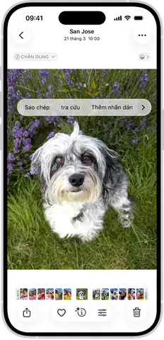 Tạo Nhãn Dán Từ Ảnh Của Bạn Trên Iphone - Bộ Phận Hỗ Trợ Của ...