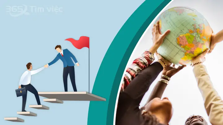 Chặng Đường Hoạt Động Và Phát Triển Của Tổng Giám Đốc Who