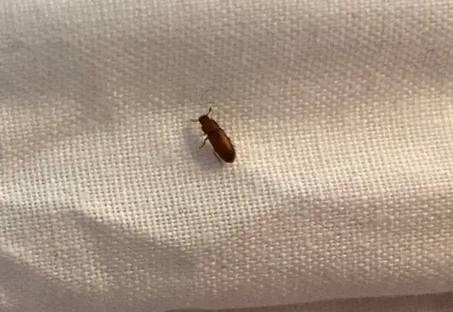 Con Là Ai Sheet: Lời Bài Hát, Hợp Âm Và Ý Nghĩa Sâu Sắc Của Ca Khúc