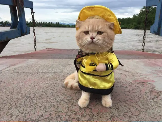 Con Sen Nghĩa Là Gì Trên Facebook?